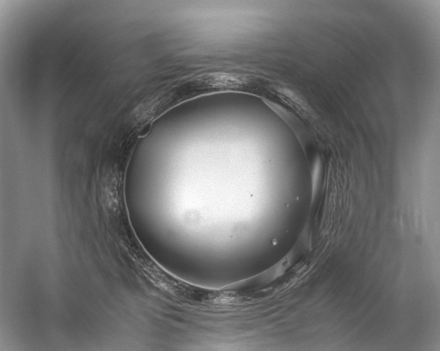 X0000060230325200510281141
