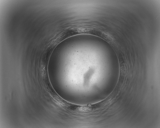 X0000060230327200510281141