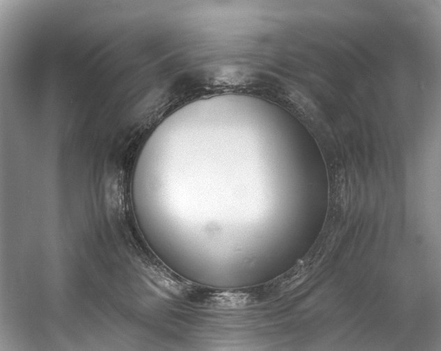 X0000060230328200510281141