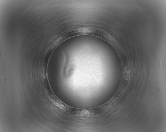 X0000060230330200510281141
