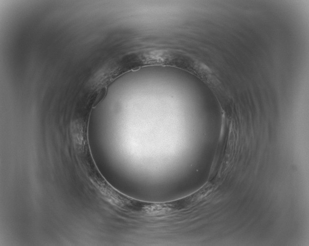 X0000060230331200510281141