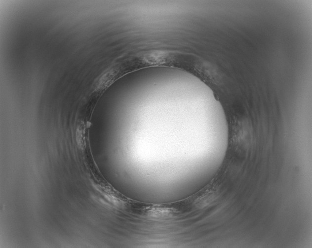 X0000060230332200510281141