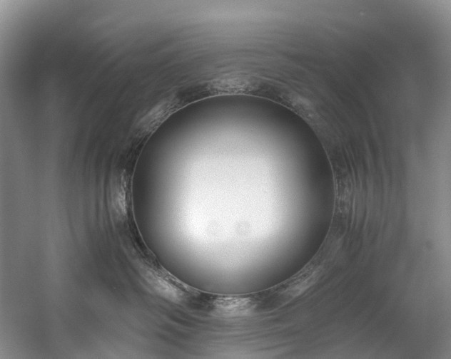 X0000060230334200510281141