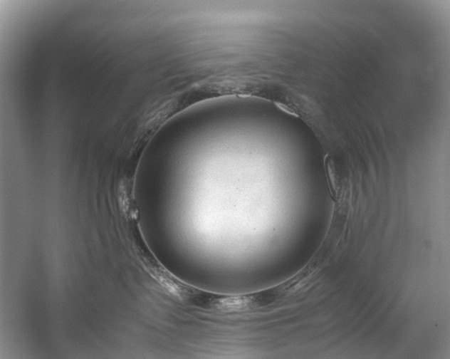 X0000060230335200510281141