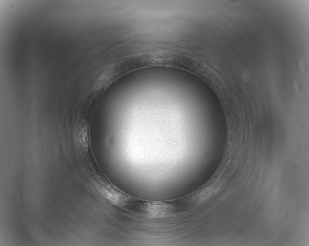 X0000060230336200510281141