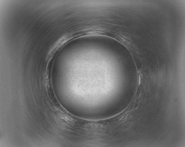 X0000060230339200510281140