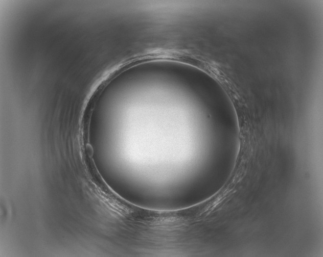 X0000060230342200510281140