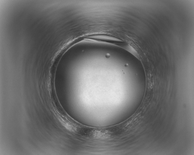 X0000060230346200510281140