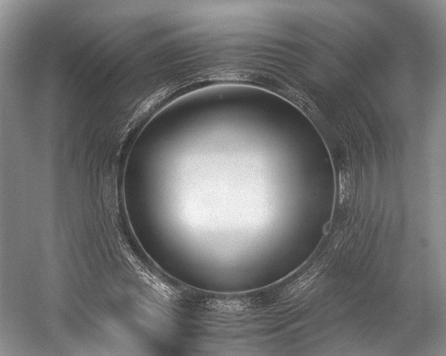 X0000060230349200510281140