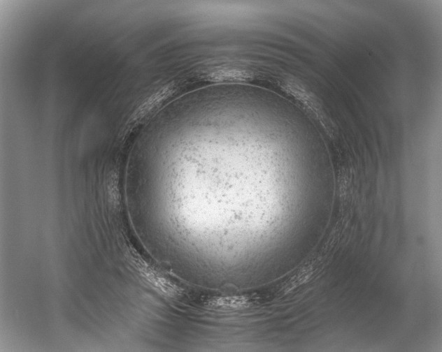 X0000060230353200510281141