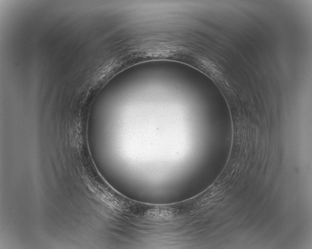 X0000060230354200510281141