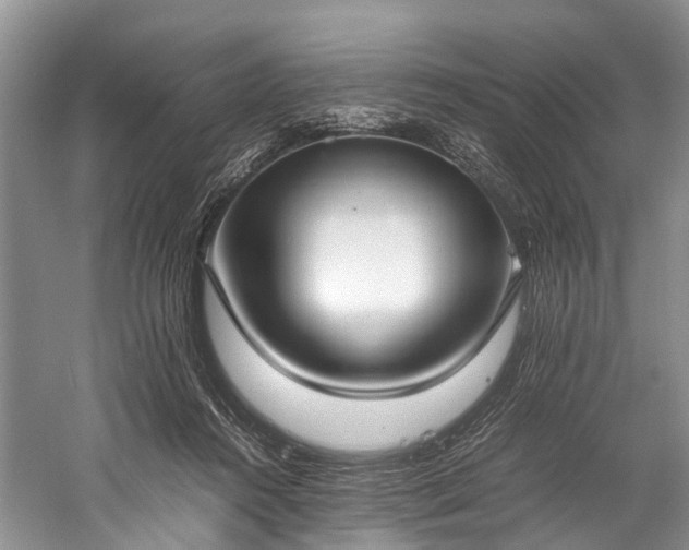 X0000060230360200510281141
