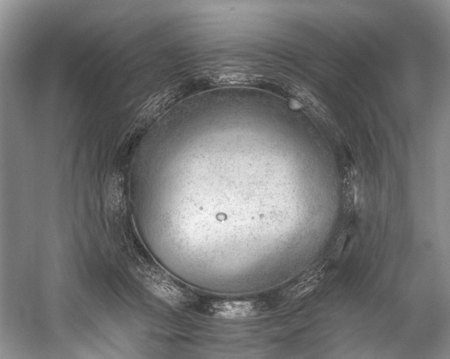 X0000060230361200510281141
