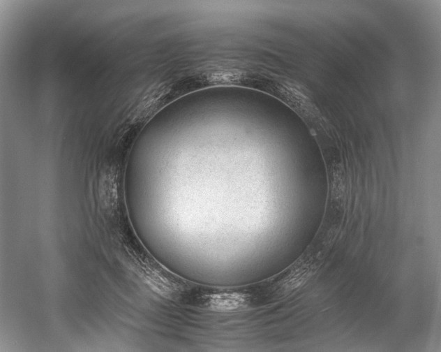 X0000060230363200510281141