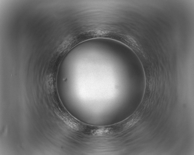 X0000060230366200510281141