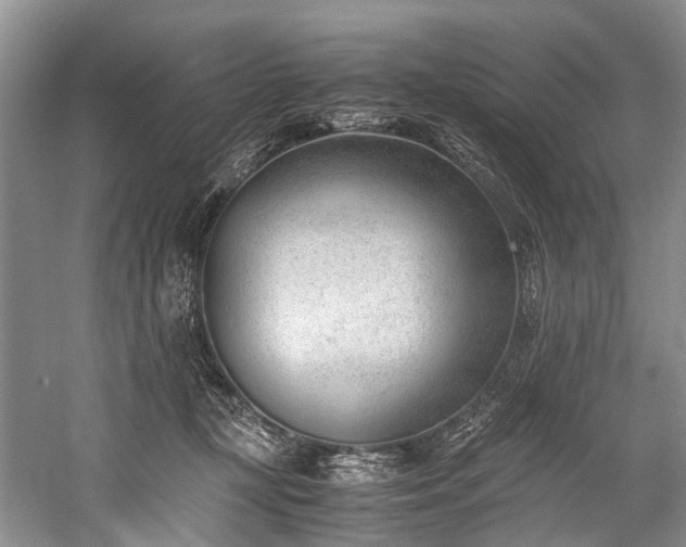 X0000060230367200510281141