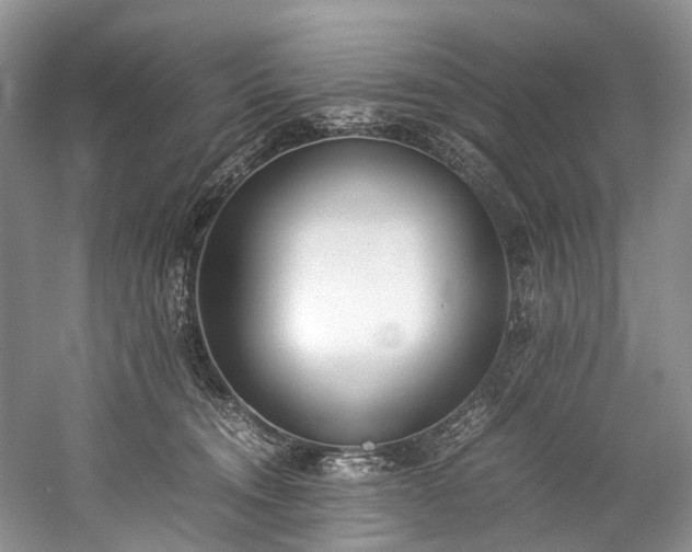 X0000060230372200510281141