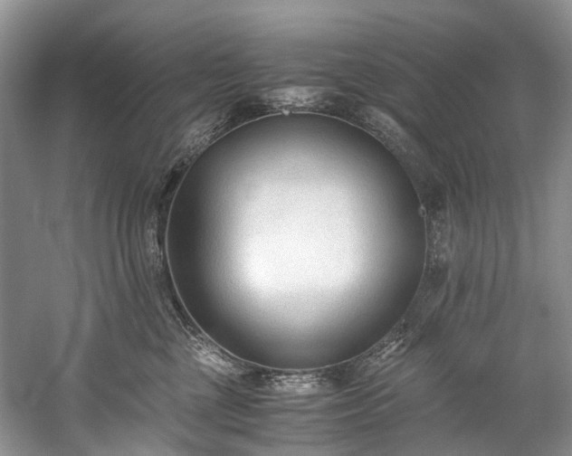 X0000060230377200510281141