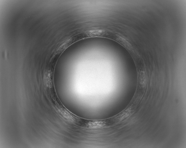 X0000060230378200510281141