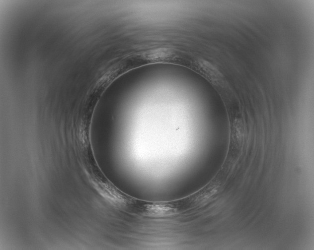 X0000060230380200510281141