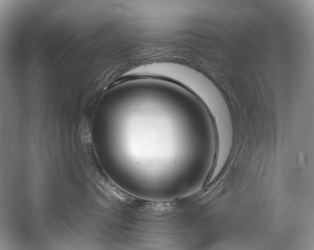 X0000060230384200510281141