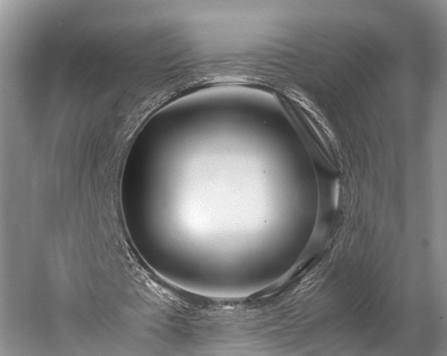 X0000060230385200510281140
