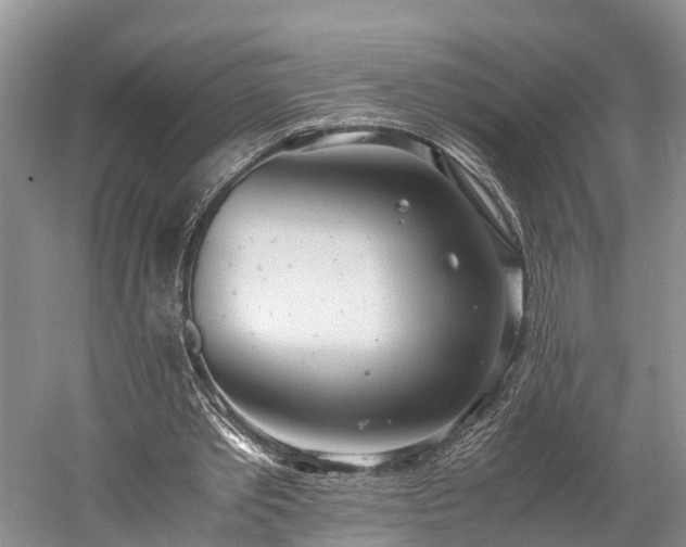 X0000060230389200510281140