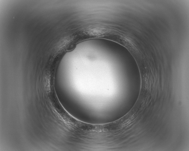 X0000060230404200510281140