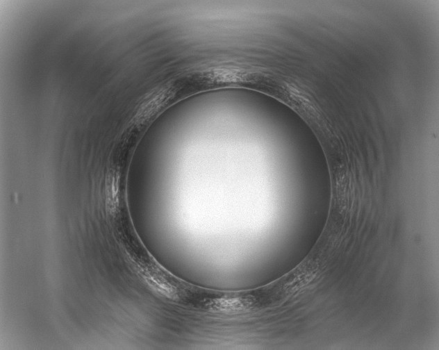 X0000060230406200510281140