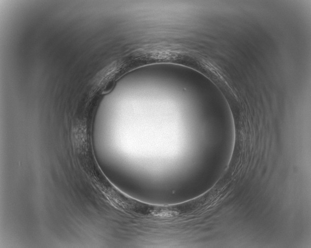 X0000060230407200510281140