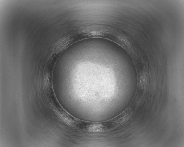 X0000060230410200510281140