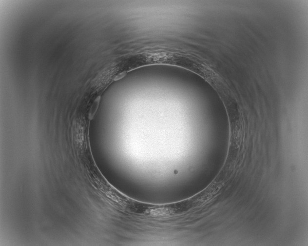 X0000060230417200510281140