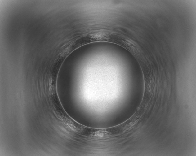 X0000060230420200510281140