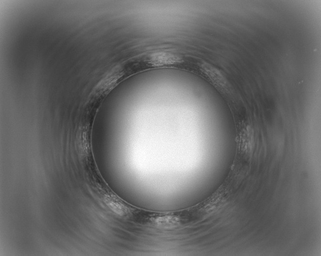 X0000060230426200510281140