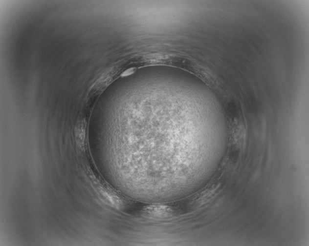 X0000060230427200510281140