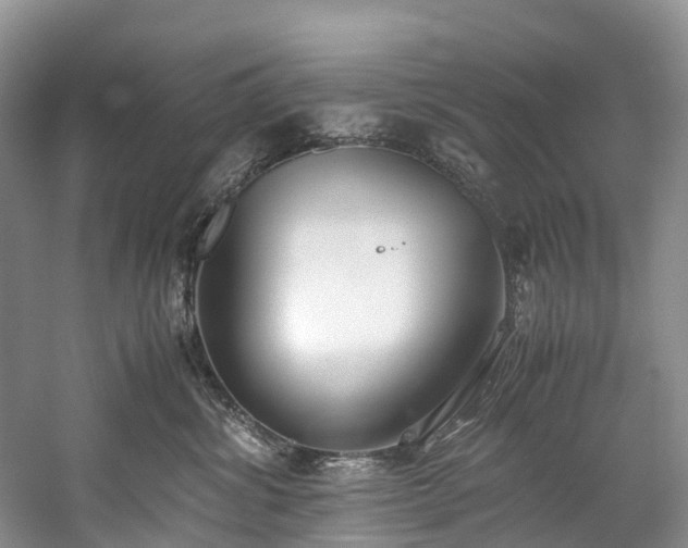 X0000060230428200510281139