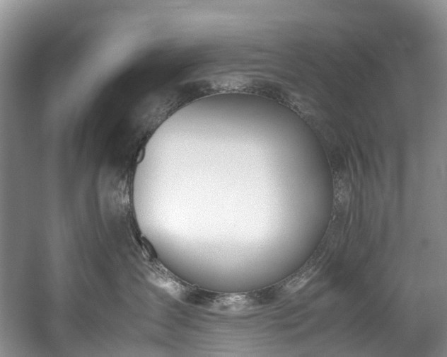 X0000060230431200510281139