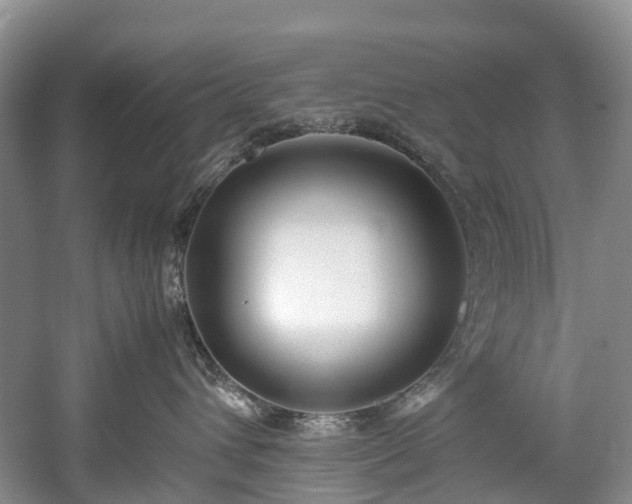 X0000060230432200510281139