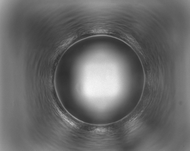 X0000060230441200510281138