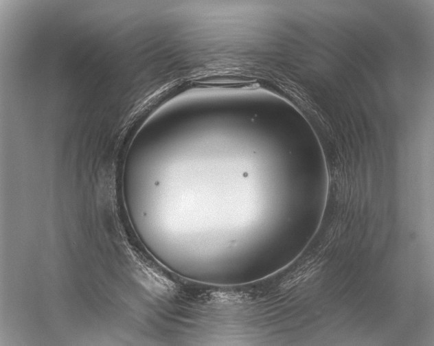 X0000060230442200510281139