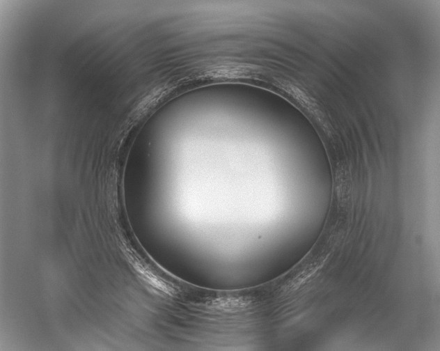 X0000060230445200510281139