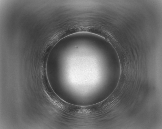 X0000060230451200510281139