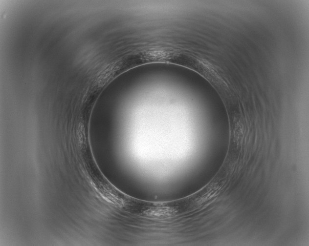 X0000060230459200510281139