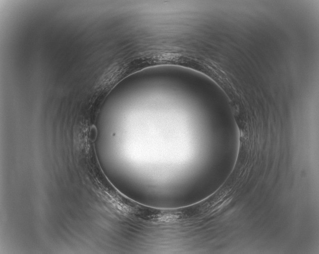 X0000060230462200510281139