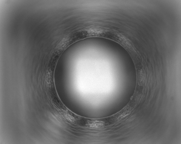 X0000060230463200510281139
