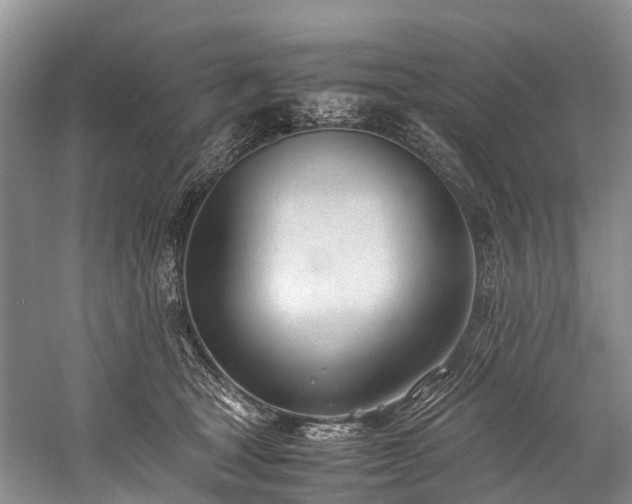 X0000060230465200510281139