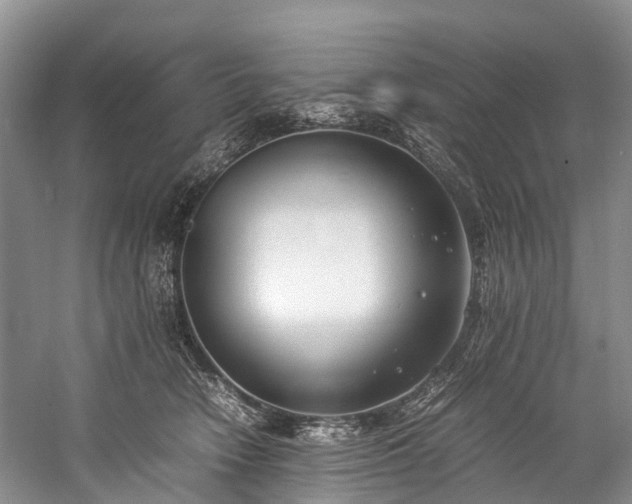 X0000060230466200510281139