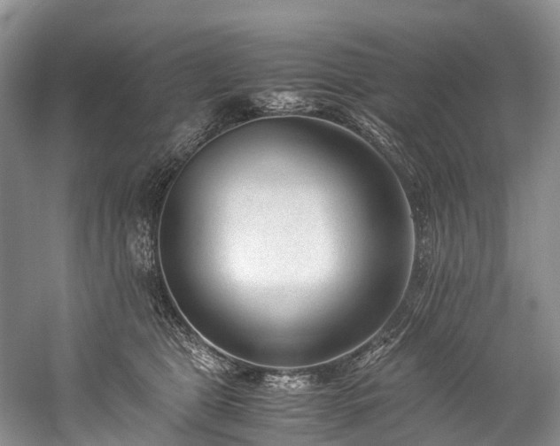X0000060230469200510281139