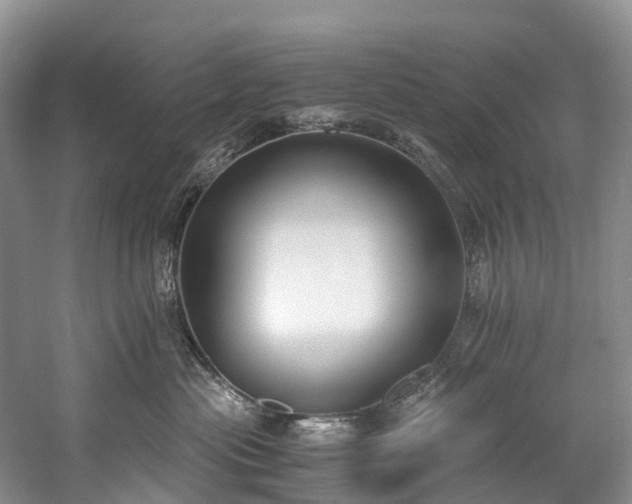 X0000060230477200510281139