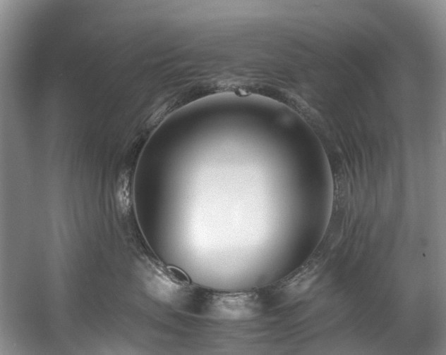 X0000060230479200510281139